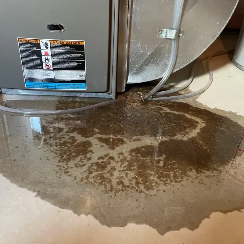 Appliance Leak Cleanup in Williamsport, OH